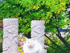 -红梅公园