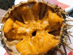 海胆-樱之盛宴·蟹料理海鲜自助(前进大街店)