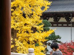 -径山寺