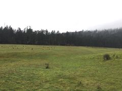 -玉龙雪山游客服务中心