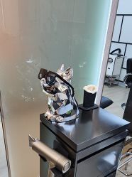 -showcase·形象沙龙