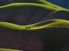 -渔公馆·川菜馆·家宴·生日宴(大地中央广场店)