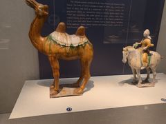 -镇江博物馆