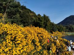-广州市石门国家森林公园