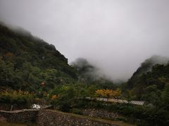-牛背梁国家森林公园