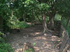 -华侨城湿地公园