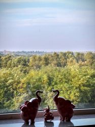 -美德因妇儿医院