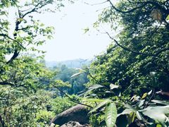 -火炉山森林公园