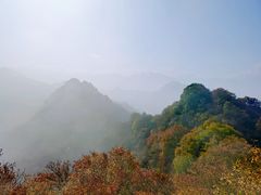 -秦岭风景区