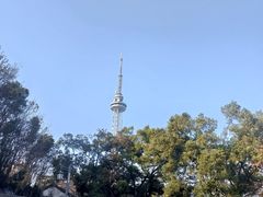 -湖南广播电视台娱乐频道