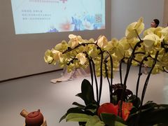 -汉艺唐风茶艺培训(联发华美空间店)