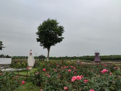 -武汉紫薇都市田园