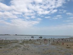-北海金海湾红树林生态旅游区