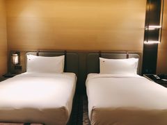 -新加坡瑞士史丹福酒店