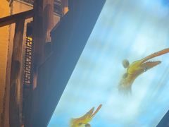 -徽三说·土徽菜·中国徽菜连锁品牌(一中店)