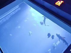 -太平洋海底世界