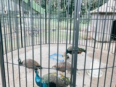 -前小桔亲子创意农场·草莓采摘·露营烧烤