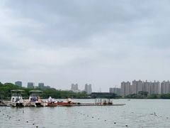 -顺峰山公园