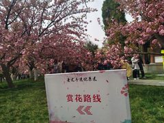 -西安青龙寺遗址景区