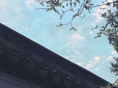 -上海醉白池公园