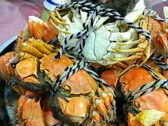 -小陆莲花蟹园农家乐(莲花岛店)