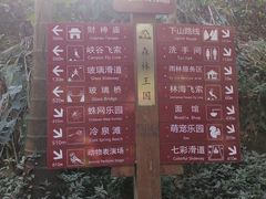 -南丹山森林王国