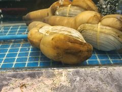 -骏莱海鲜鱼港(五角场店)