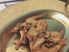 -鸽子侯·家宴·平价海鲜(市图书馆店)