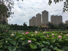 -前关湿地公园