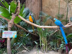 -杭州开元森泊度假乐园