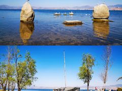 -洱海月湿地公园