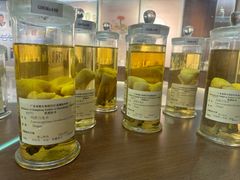 -广州神农草堂中医药博物馆