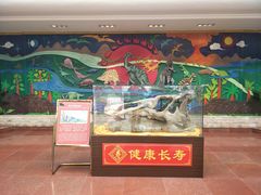-诸城市恐龙博物馆