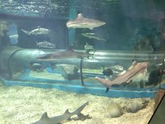 -福州罗源湾海洋世界旅游区