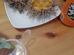 -海胆小馆(东北水饺·春柳店)