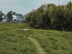 -大理洱海