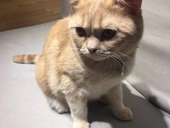 -小时光咖啡馆(开森度假森林店)