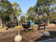 -三江森林温泉度假区