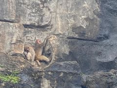 -海南热带野生动植物园