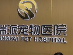 -瑞派康怡24h宠物医院·犬猫医疗中心·微创绝育(瑞景分院)