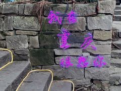 -重庆十八梯传统风貌区