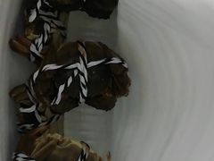 -七的湖·晚芳亭·阳澄湖农家菜·大闸蟹(莲花岛店)