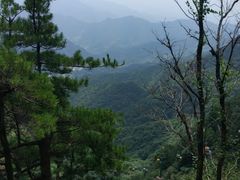 -王顺山国家森林公园