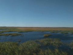 -三江平原湿地宣教馆