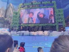 -青岛东方影都融创水世界