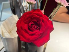 -阿妮叶李(光谷世界城店)