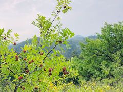 -蟠龙山长城景区