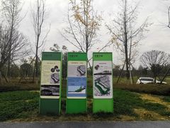 -两河城市森林公园