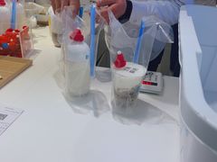 -兰熊鲜奶(西直门凯德mall店)