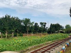 -武汉紫薇都市田园